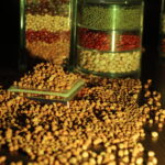 Desi checkpea (4)