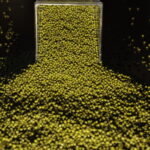 Green Mung (5)