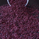 Red Beans Gojjam Type (2)