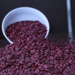 Red Beans Gojjam Type (4)