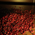 Red Beans South type (4)