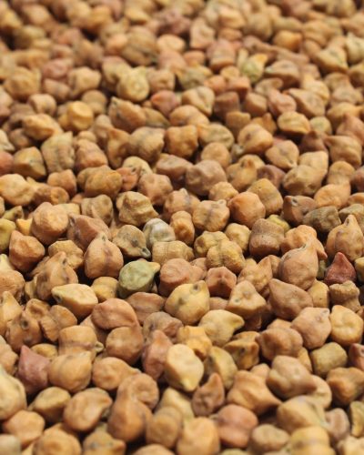 Chickpeas-Desi.jpg