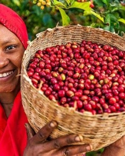 Guji-Coffee.jpg