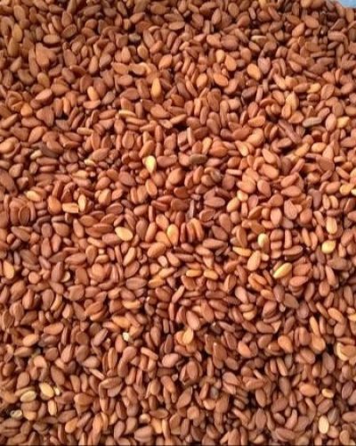 Reddish-Sesame-Seeds.jpg