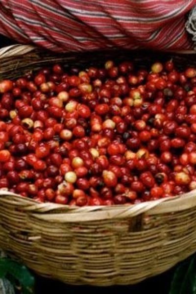 Yirgacheffe-Coffee.jpg